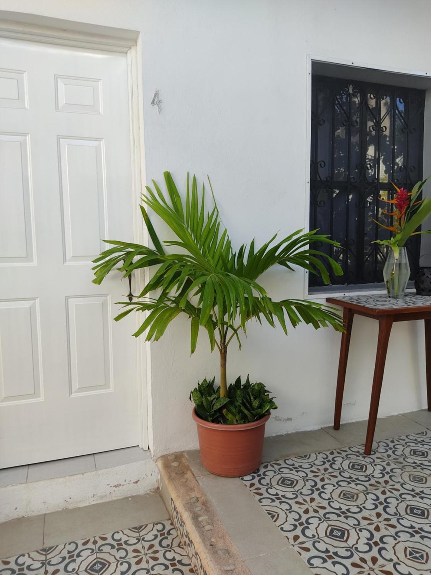 Casa Mercedes วัลลาโดลิด ห้อง รูปภาพ